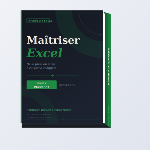 Maîtriser Microsoft Excel – (niveau Débutant)