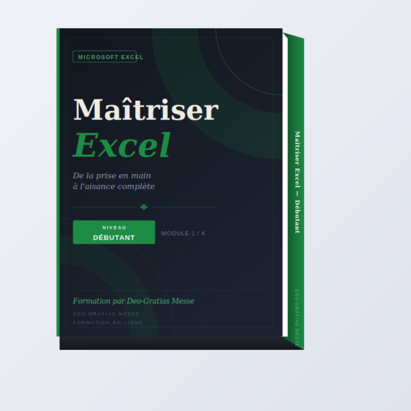 IMG_Excel_01_Debutant Maîtriser Microsoft Excel – (niveau Débutant)