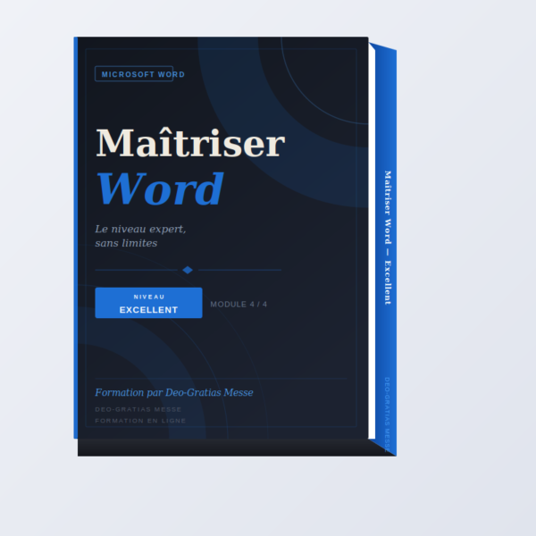 IMG_Word_04_Excellent Maîtriser Microsoft Word – (niveau excellence)