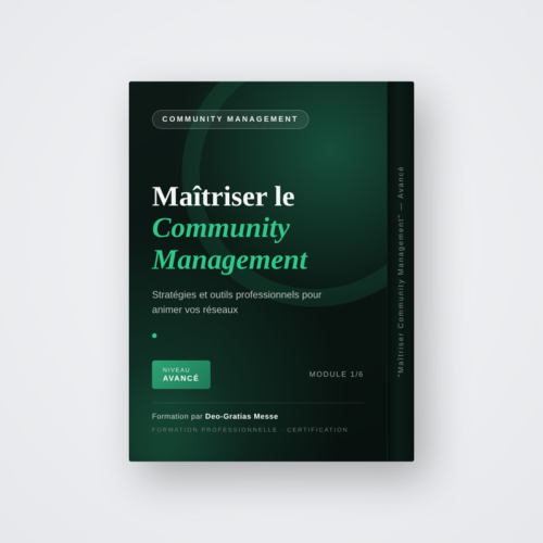 Maîtriser le Community Management – Niveau Avancé