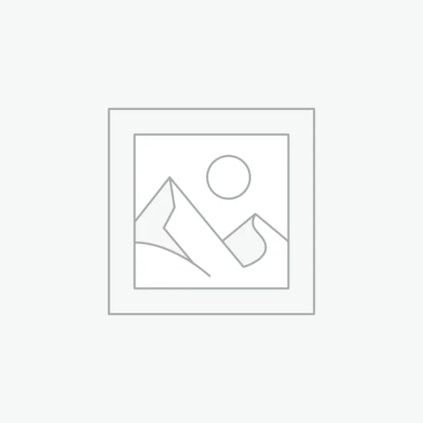 Téléchargement CV personnalisé